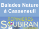 Balades nature à Casseneuil - 14. 15. 16 avril 2022 