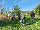 Retour : balade participative au cœur du patrimoine naturel et agricole Retour : balade participative au cœur du patrimoine naturel et agricole