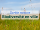 Balade nature en ville Balade nature en ville